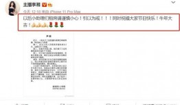 王思诺视频爆料最新