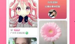 小七最新爆料视频下载,热点事件背后的真相