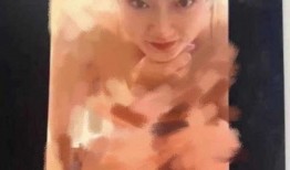 李梦的最新爆料视频在线观看,幕后真相与情感纠葛