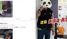 内娱狗仔刘大锤最新爆料,独家揭秘娱乐圈不为人知的一面