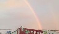 油车港最新爆料,揭秘产业新城发展新动向