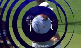 迪拜爆料新闻视频最新,揭秘神秘事件背后的真相